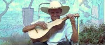 Modo de Fazer Viola de Cocho: os saberes dos cururueiros e cururueiras